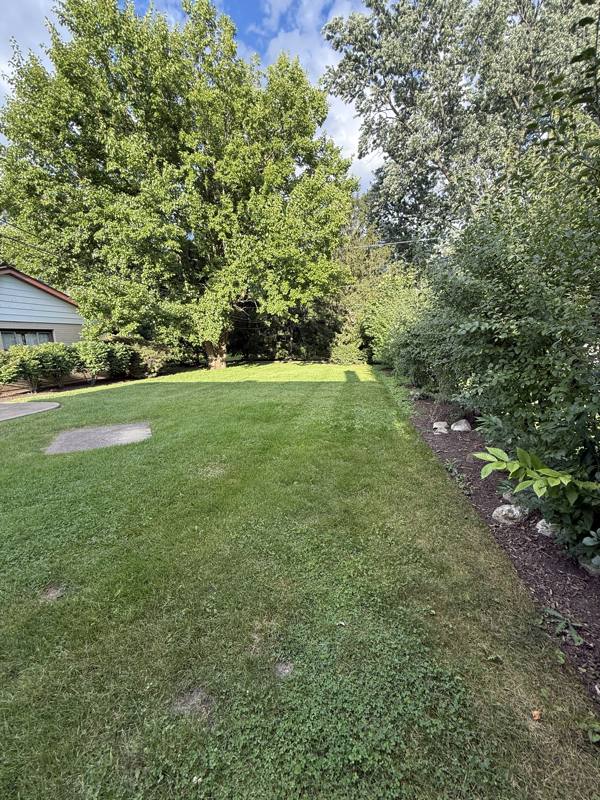 House for rent at 1007 N Gibbons Ave, Arlington Heights, IL 60004