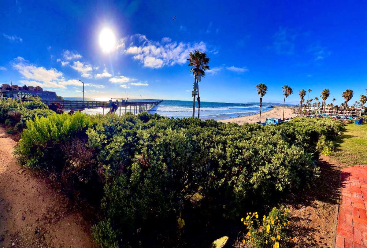 Apartment for rent at 5075 Niagara Ave #23, San Diego, CA 92107