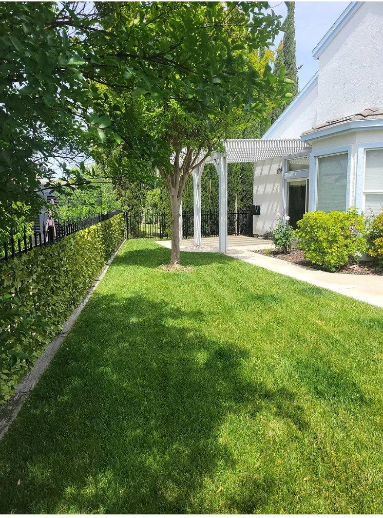 House for rent at 723 Deerfield Way, Rio Vista, CA 94571