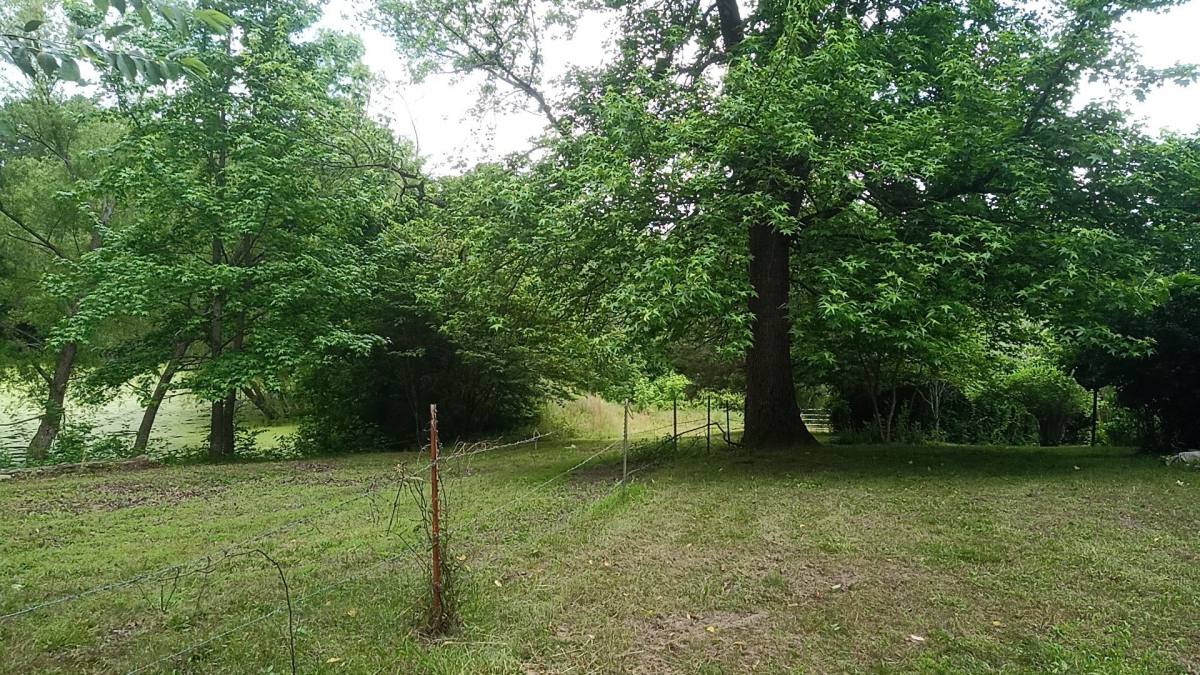 House for rent at 56 Highway, Wideman, AR 72585