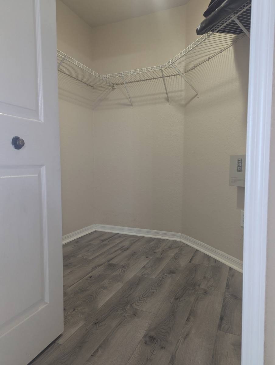 Apartment for rent at 18106 Peregrine Perch Place, Lutz, FL 33558