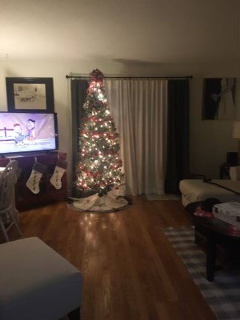 Apartment for rent at 149 E Highland Rd, Johnson City, TN 37601