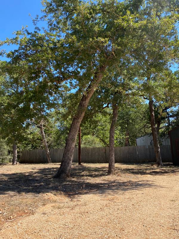 House for rent at 175 Shawnee Dr #A, Smithville, TX 78957