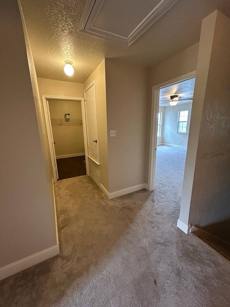 House for rent at 10711 Archer Point, San Antonio, TX 78254