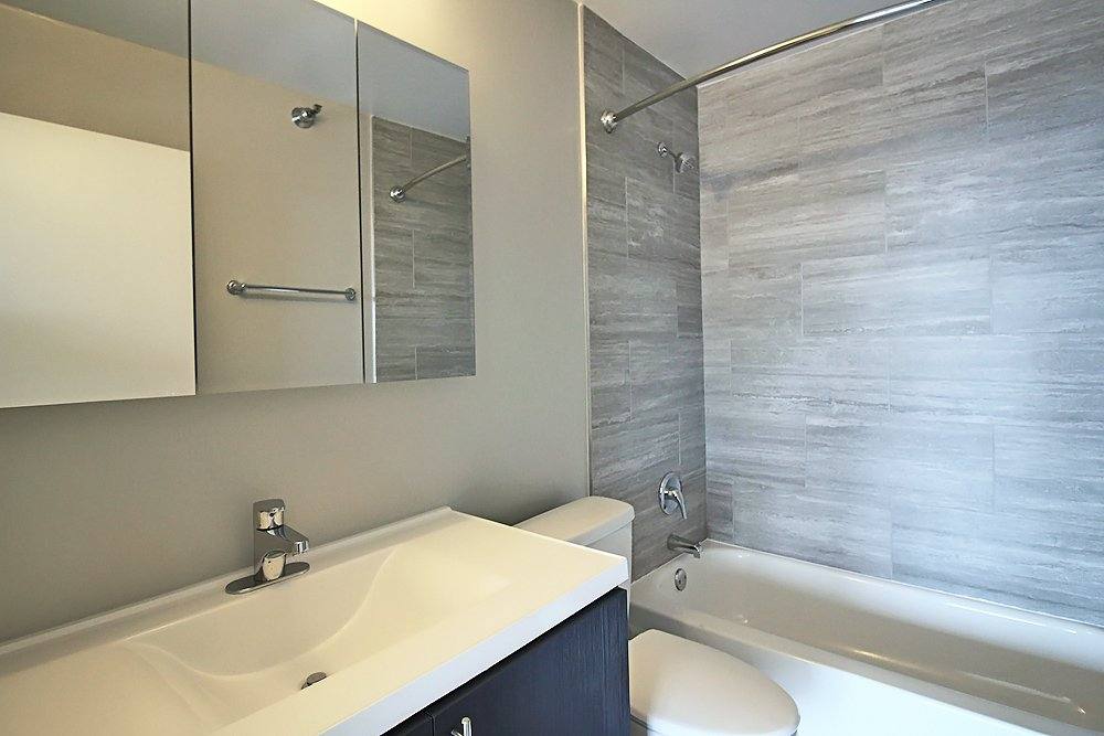 Apartment for rent at 3 E Delaware Place, Chicago, IL 60611