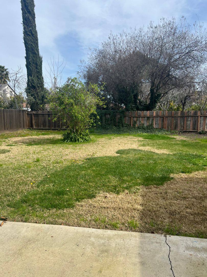 House for rent at 790 Sycamore Ave, Gustine, CA 95322