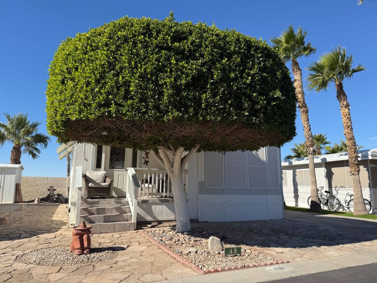 House for rent at 5707 E 32nd St, Yuma, AZ 85365