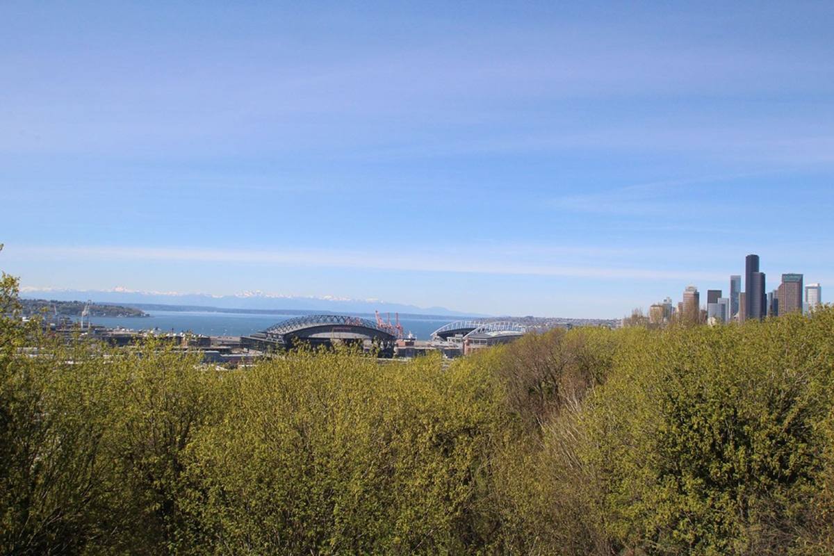 Apartment for rent at 1745 12th Ave S #4, Seattle, WA 98144