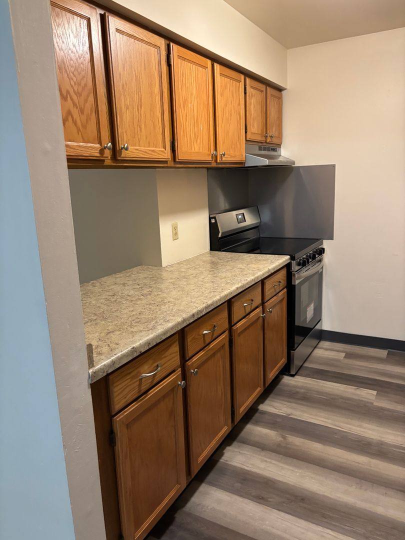 Apartment for rent at 723 W Thorne St, Ripon, WI 54971