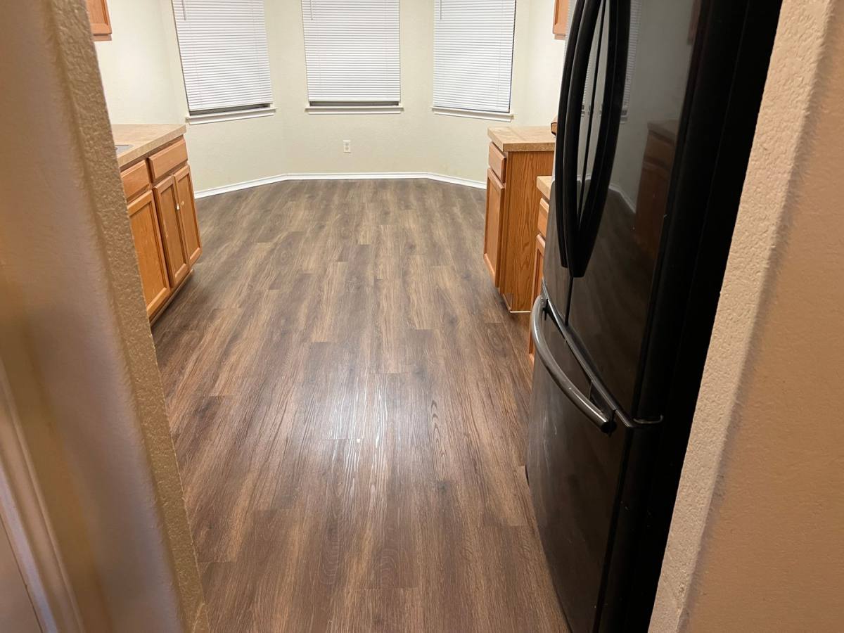 House for rent at 341 Placid Meadow, New Braunfels, TX 78130
