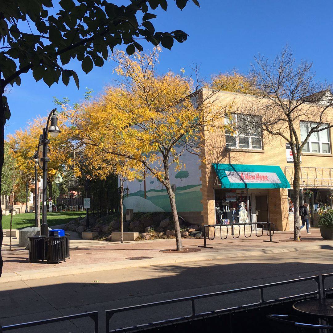 Apartment for rent at 440 442 444 State St, Madison, WI 53703
