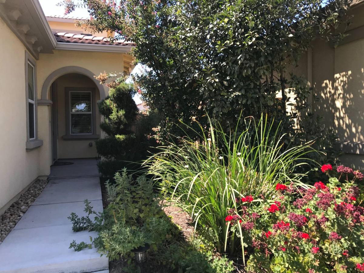 House for rent at 819 N Museo Dr, Tracy, CA 95391