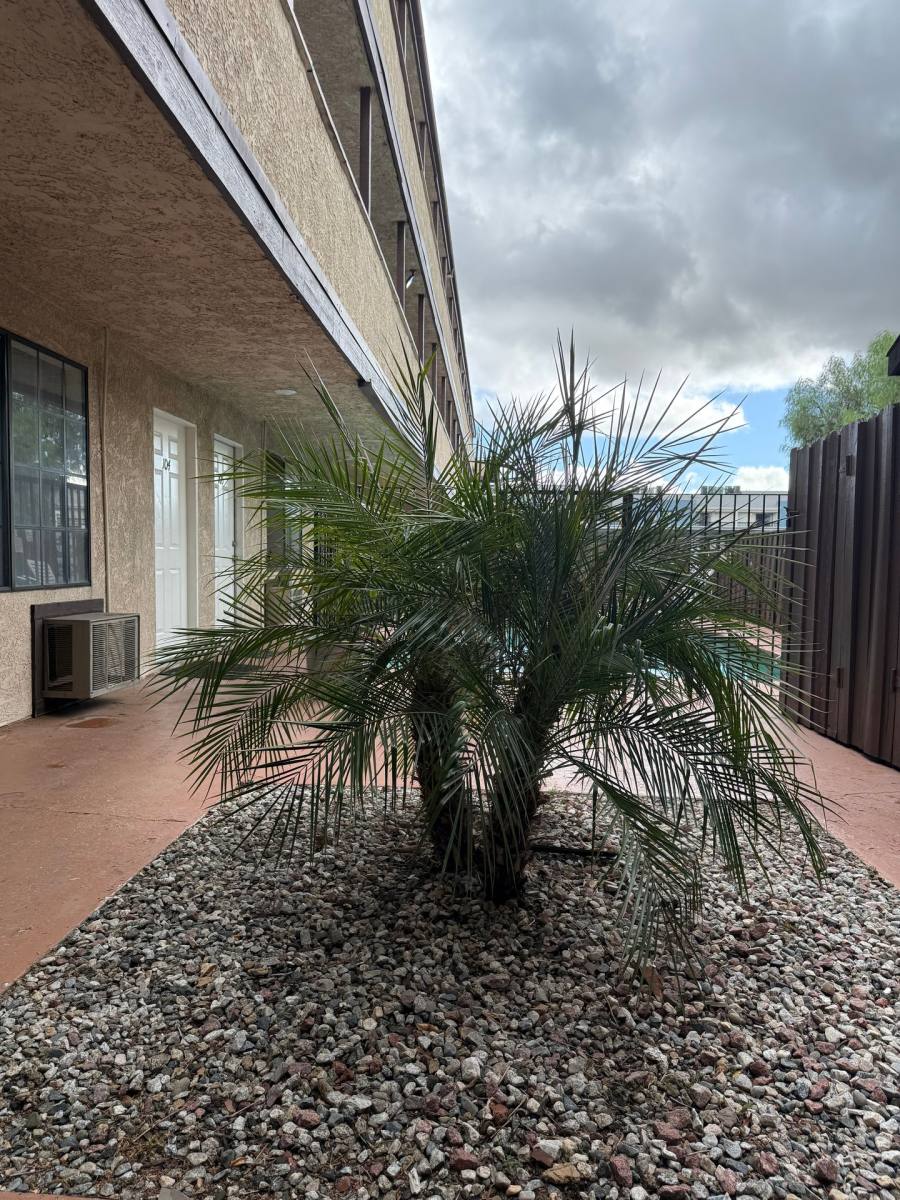 Apartment for rent at 17816 Lassen St, Northridge, CA 91325