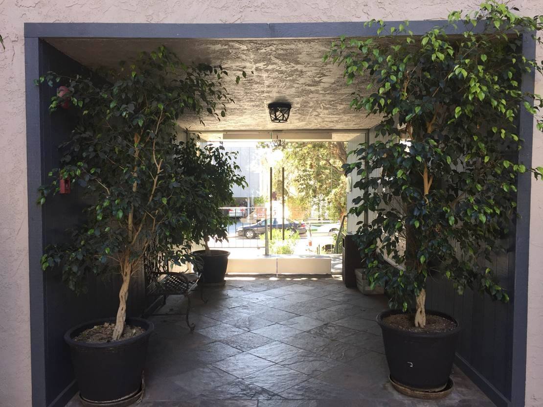 Apartment for rent at 3516 Jasmine Ave, Los Angeles, CA 90034