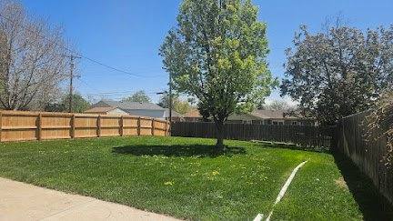 House for rent at 800 Lotus Way, Broomfield, CO 80020