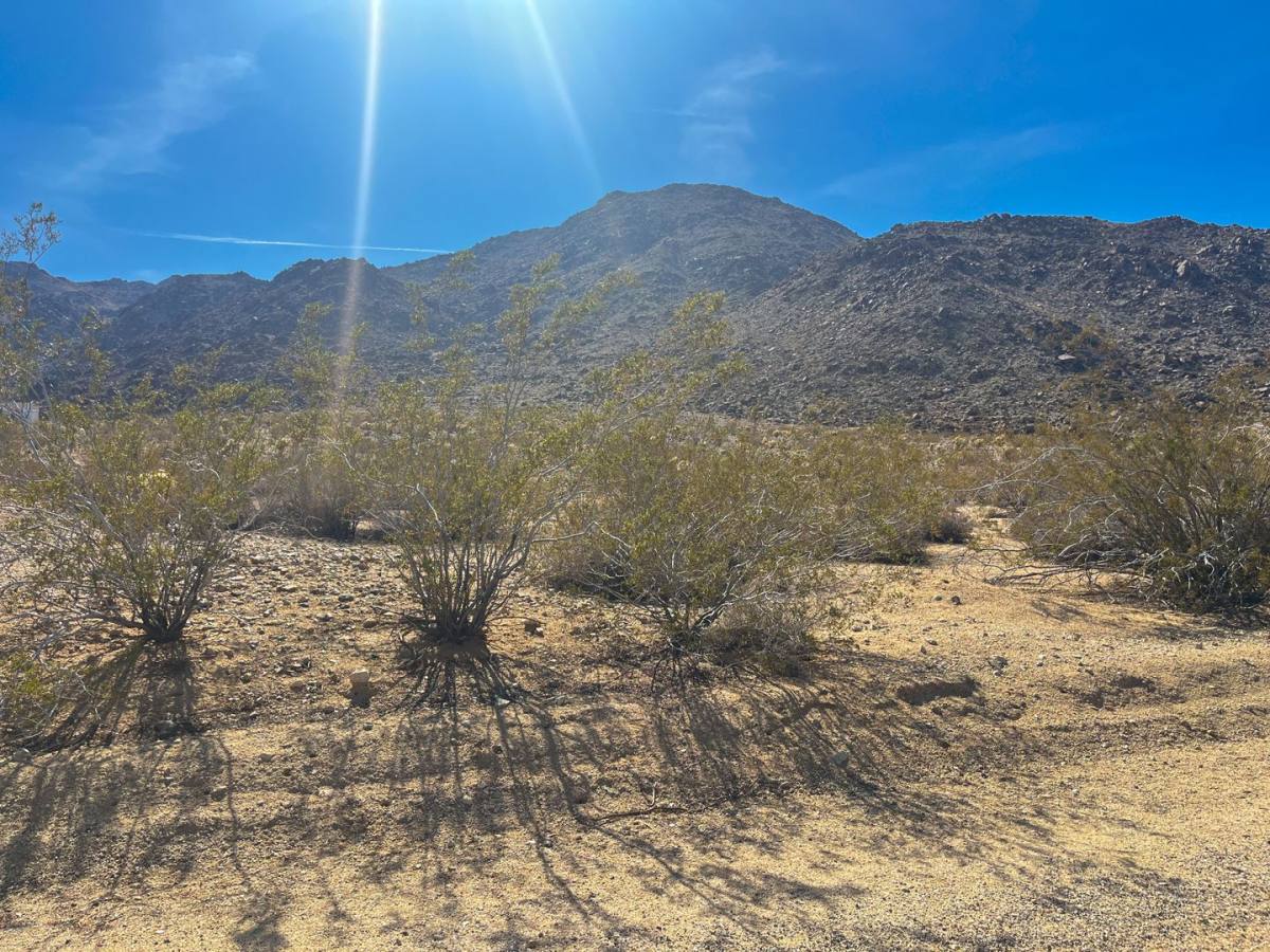 House for rent at 7052 Alpine Ave, Twentynine Palms, CA 92277