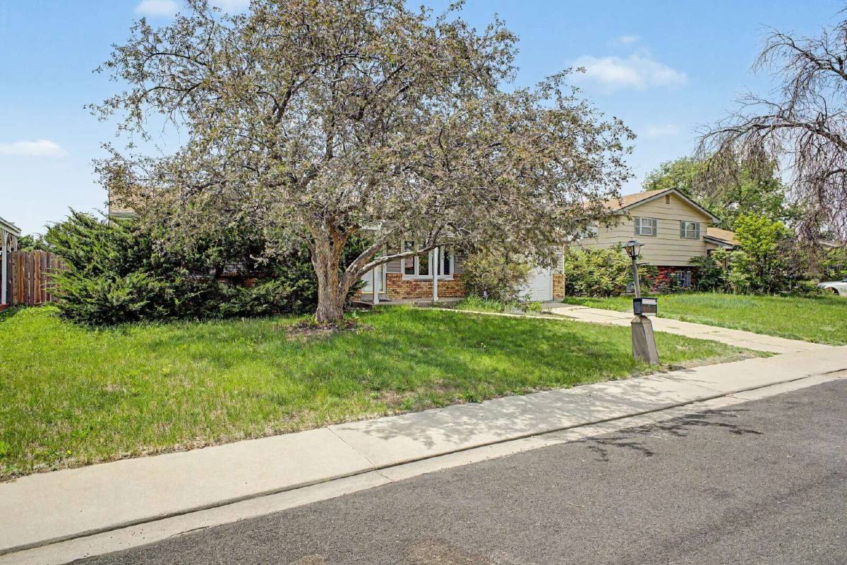 House for rent at 2519 Danbury Dr, Longmont, CO 80503