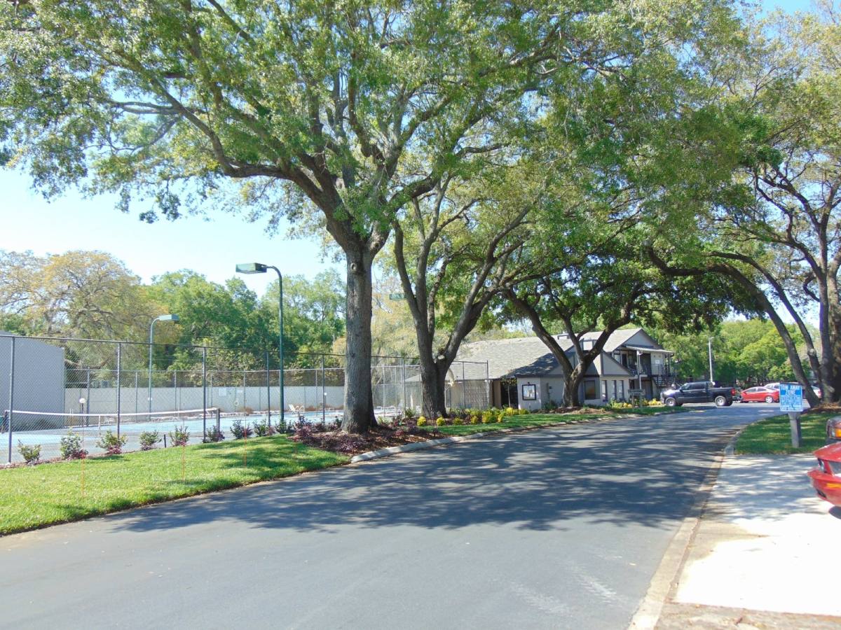 House for rent at 4024 Dream Oak Place #104, Tampa, FL 33613