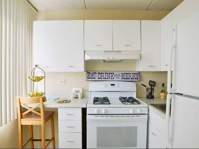 Apartment for rent at The Pavilion, 5441 N E River Rd, Chicago, IL 60656
