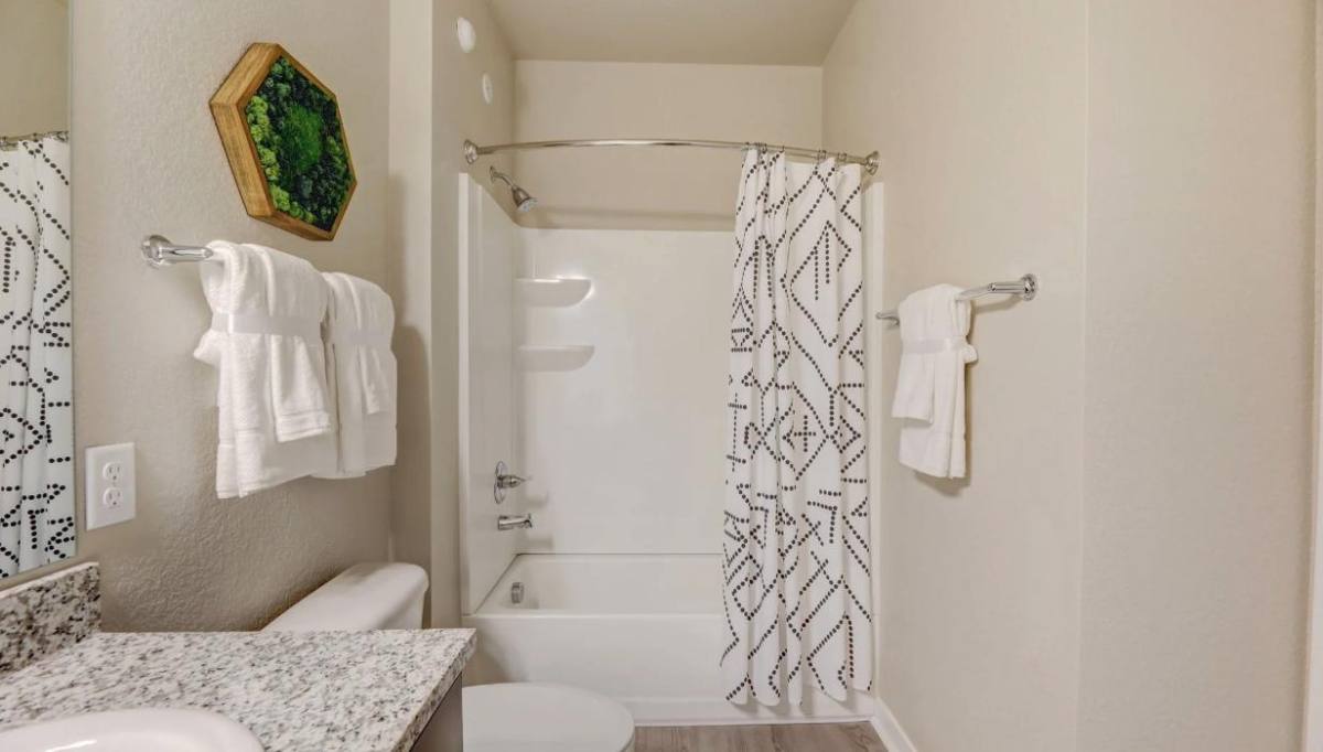 Apartment for rent at 93 Clear Pass View, Colorado Springs, CO 80921