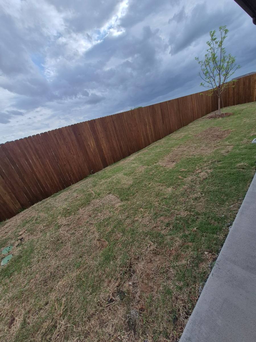 House for rent at 3041 Hollybrook Lane, Anna, TX 75409