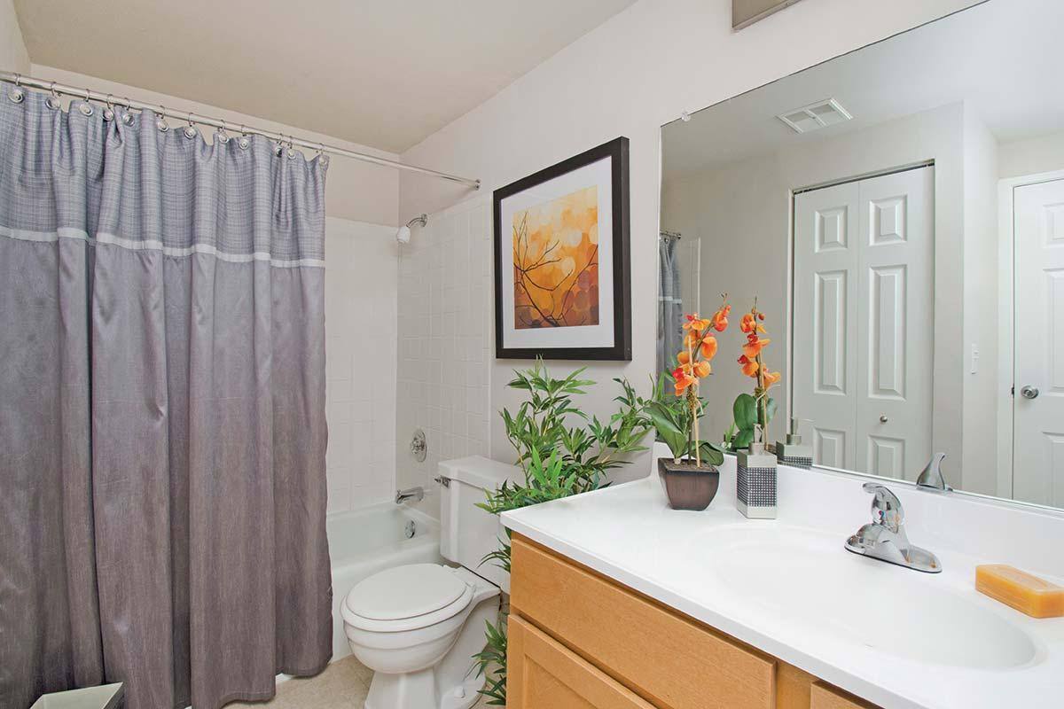 Apartment for rent at 125 W Dundee Rd, Palatine, IL 60074