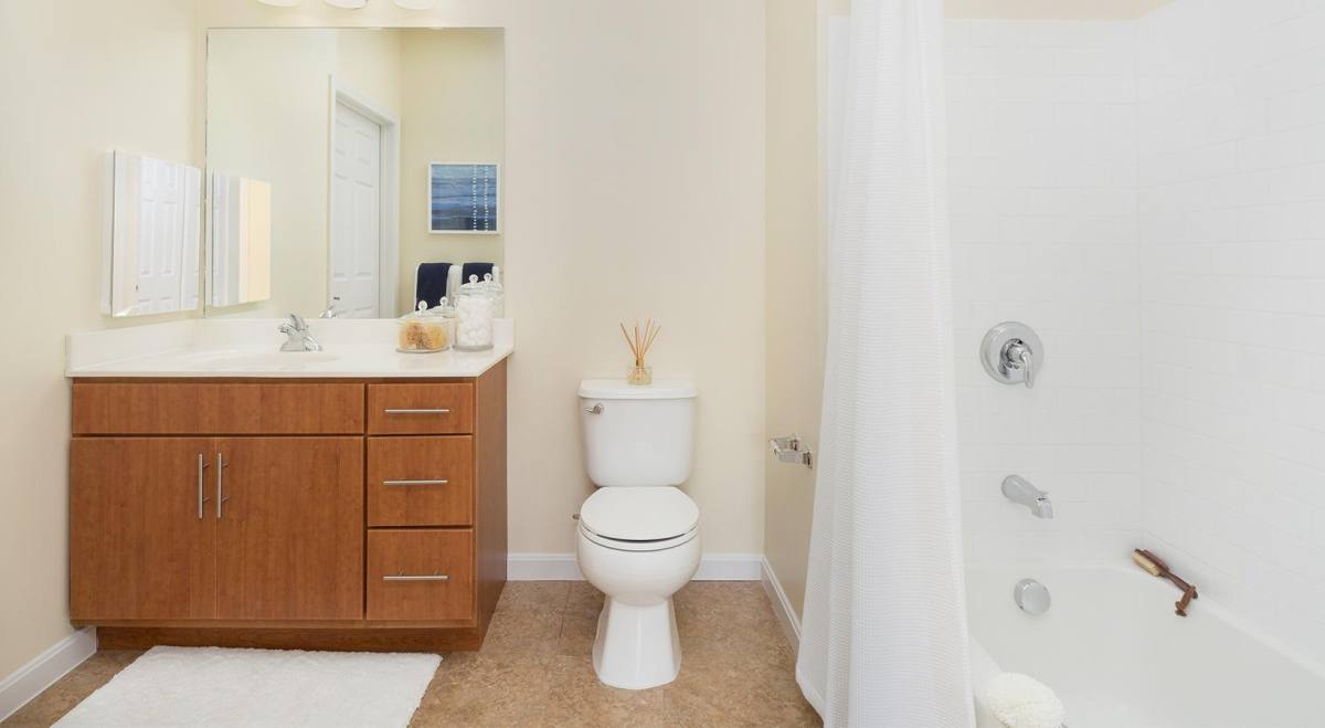 Apartment for rent at 1 Nathan Pratt Dr, Concord, MA 01742