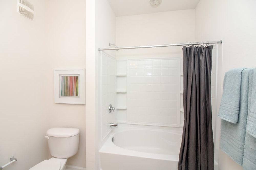 Apartment for rent at 111 Springview Lane, Summerville, SC 29485