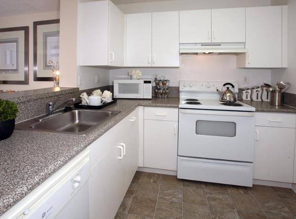Apartment for rent at 311 E Sheridan St, Dania, FL 33004