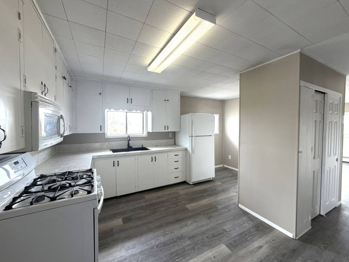 House for rent at 12350 1 2 Holtwood Rd, Simla, CO 80835