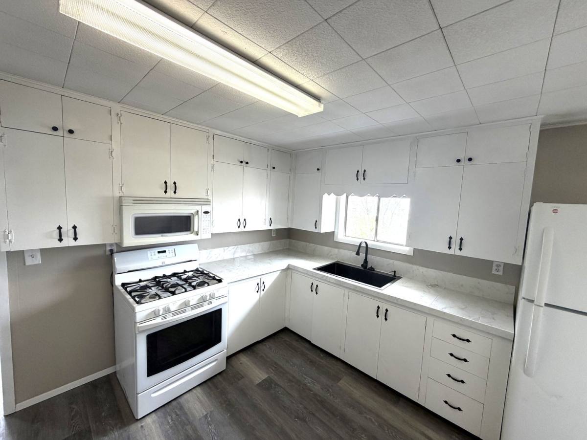House for rent at 12350 1 2 Holtwood Rd, Simla, CO 80835