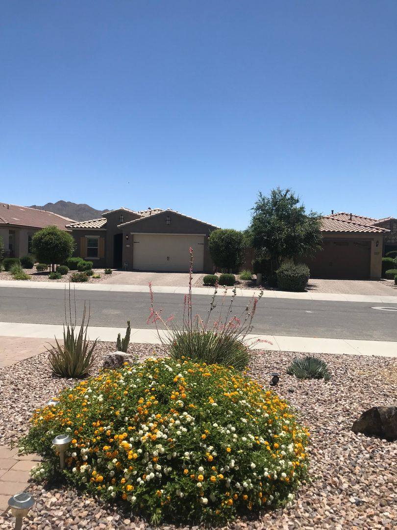 House for rent at 2724 E Bellerive Dr, Gilbert, AZ 85298