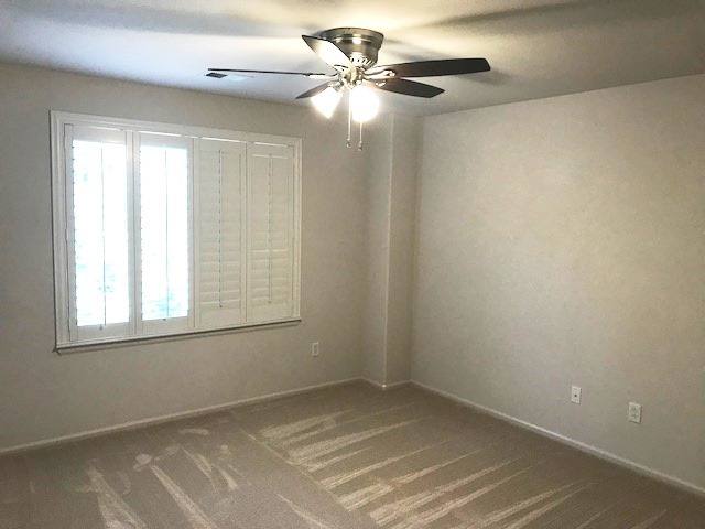 House for rent at 3657 Castle Peak Ave, Louisville, CO 80027
