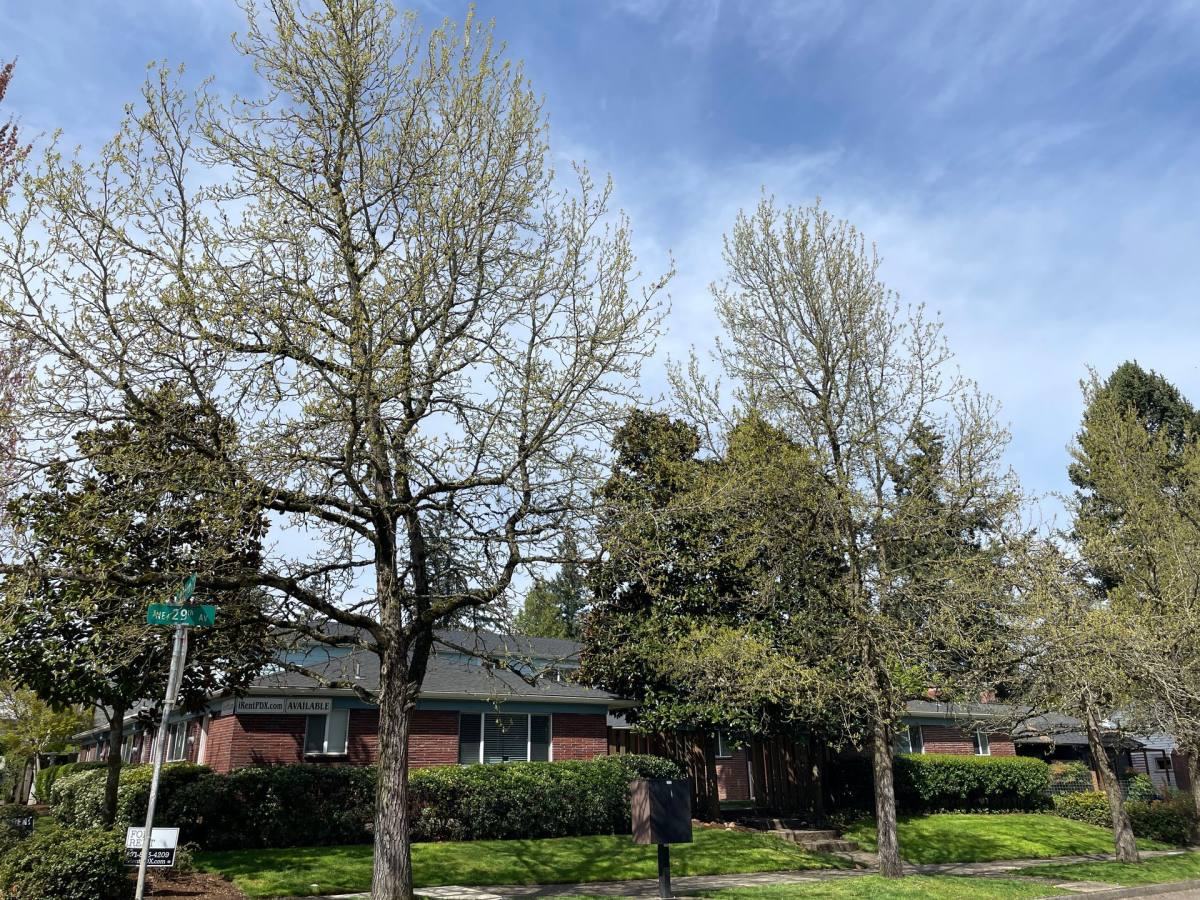 Apartment for rent at 5509 NE 29th Ave, Portland, OR 97211