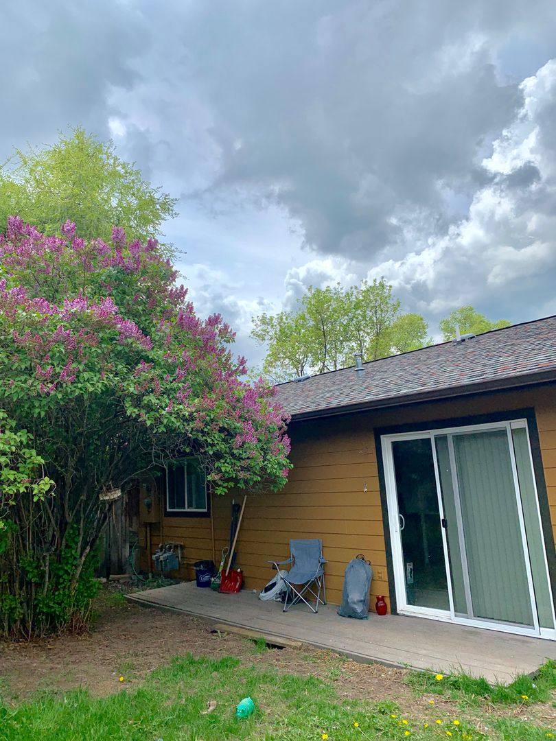 Apartment for rent at 100 Mission Court, Missoula, MT 59801