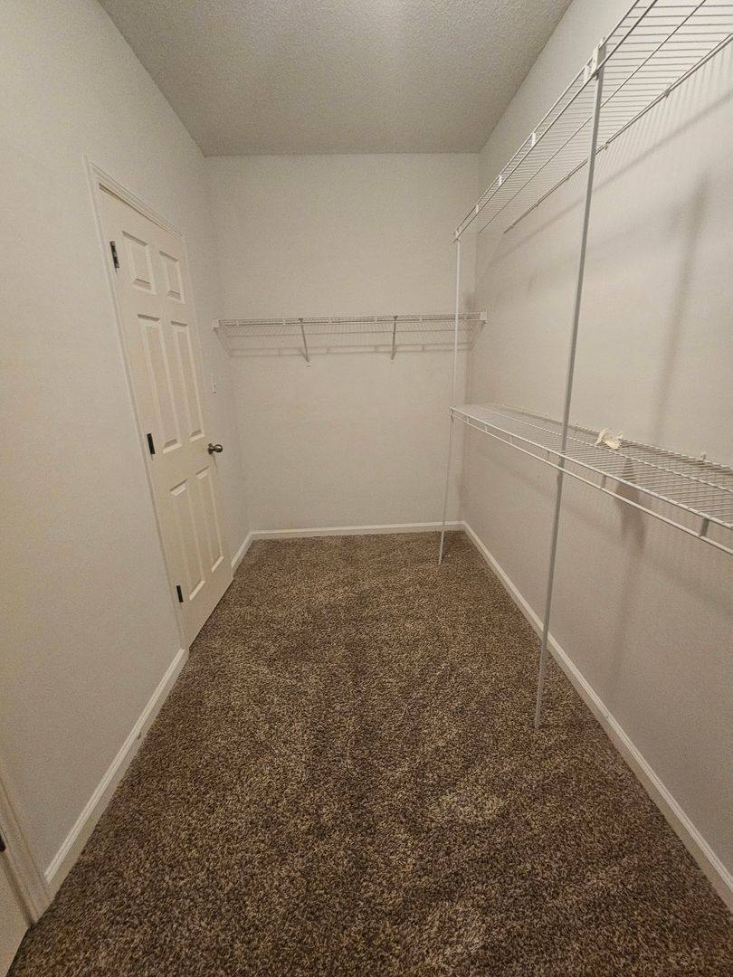 House for rent at 8843 Campaldino Ave, Cordova, TN 38018
