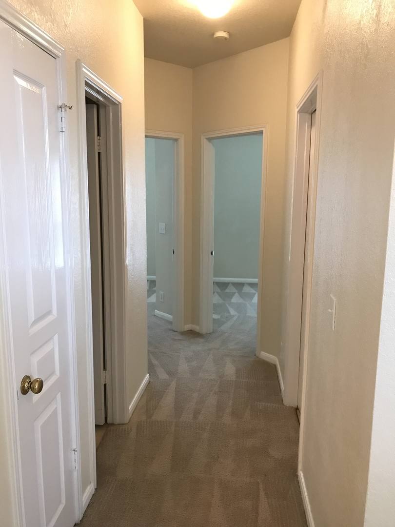 House for rent at 2520 Crested Heights, Schertz, TX 78154