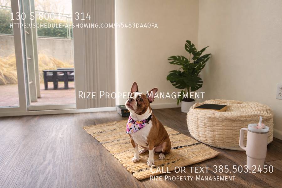 Apartment for rent at 130 S 800 E #207, Salt Lake City, UT 84102