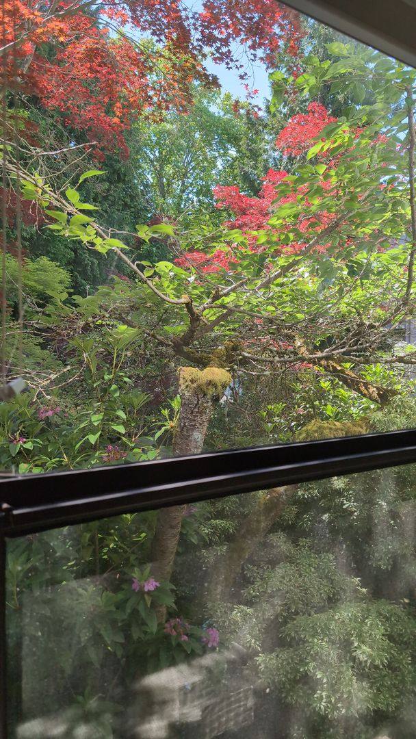 Condo for rent at 7930 SE 34th St, Mercer Island, WA 98040