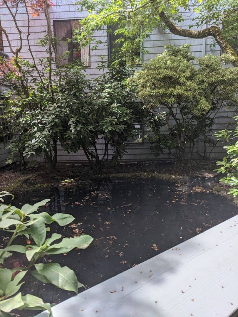 Condo for rent at 7930 SE 34th St, Mercer Island, WA 98040