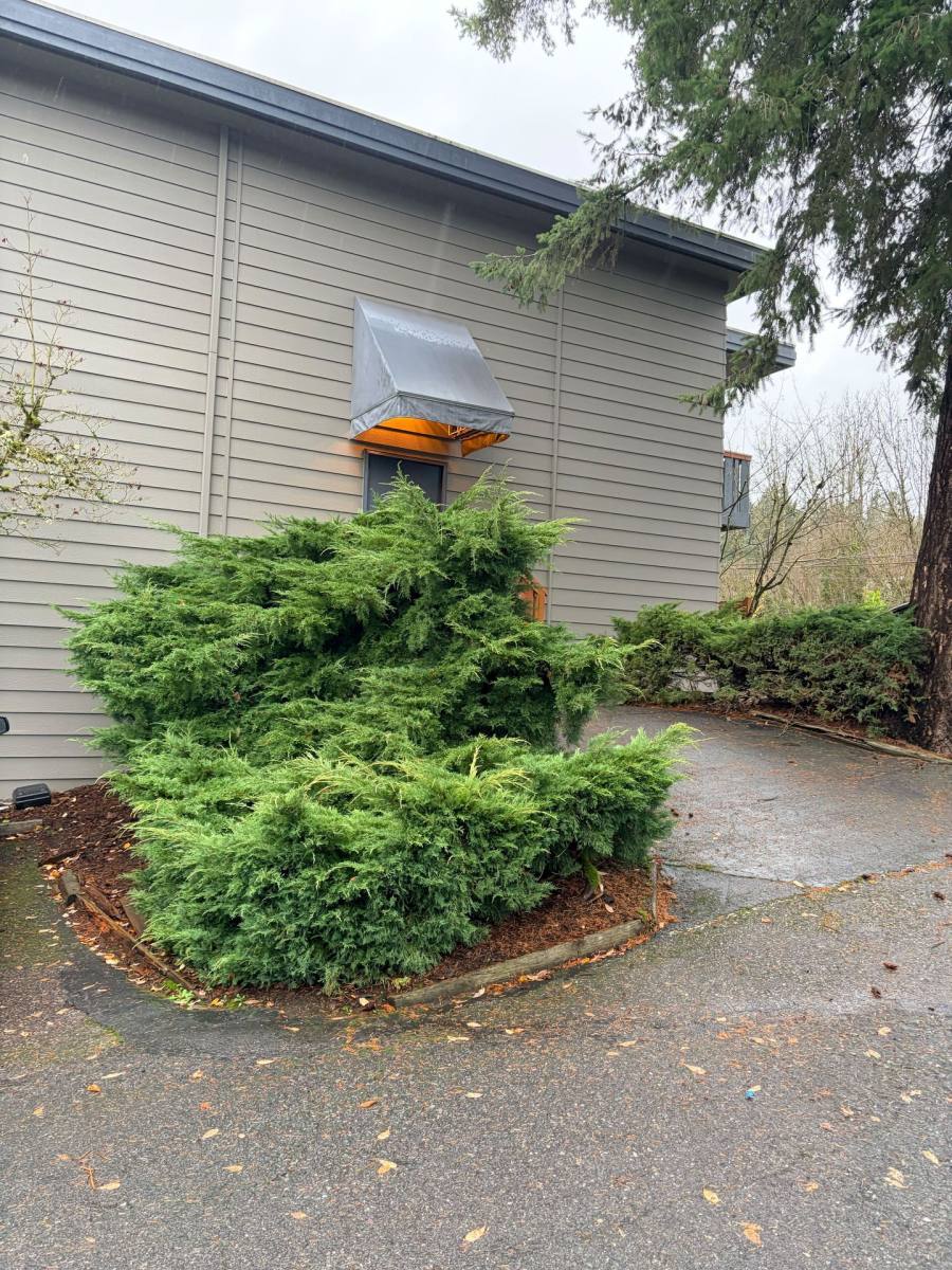 Apartment for rent at 11119 Woodinville Dr, Bothell, WA 98011