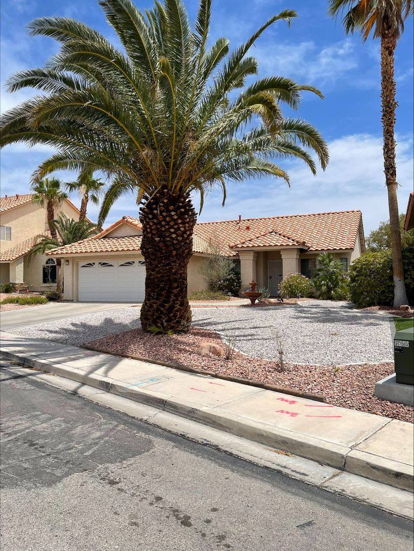House for rent at 3674 Soothing Surf Dr, Las Vegas, NV 89147
