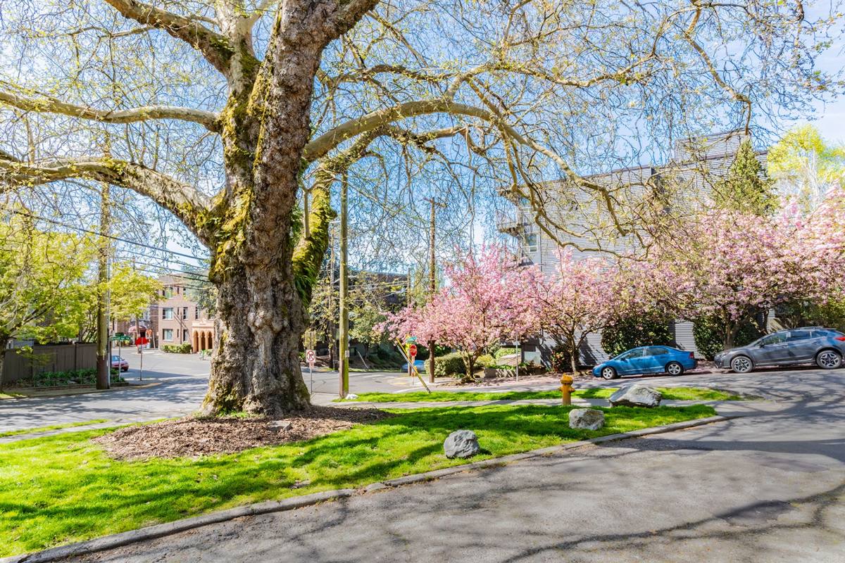 Apartment for rent at 1004 Belmont Ave E, Seattle, WA 98102