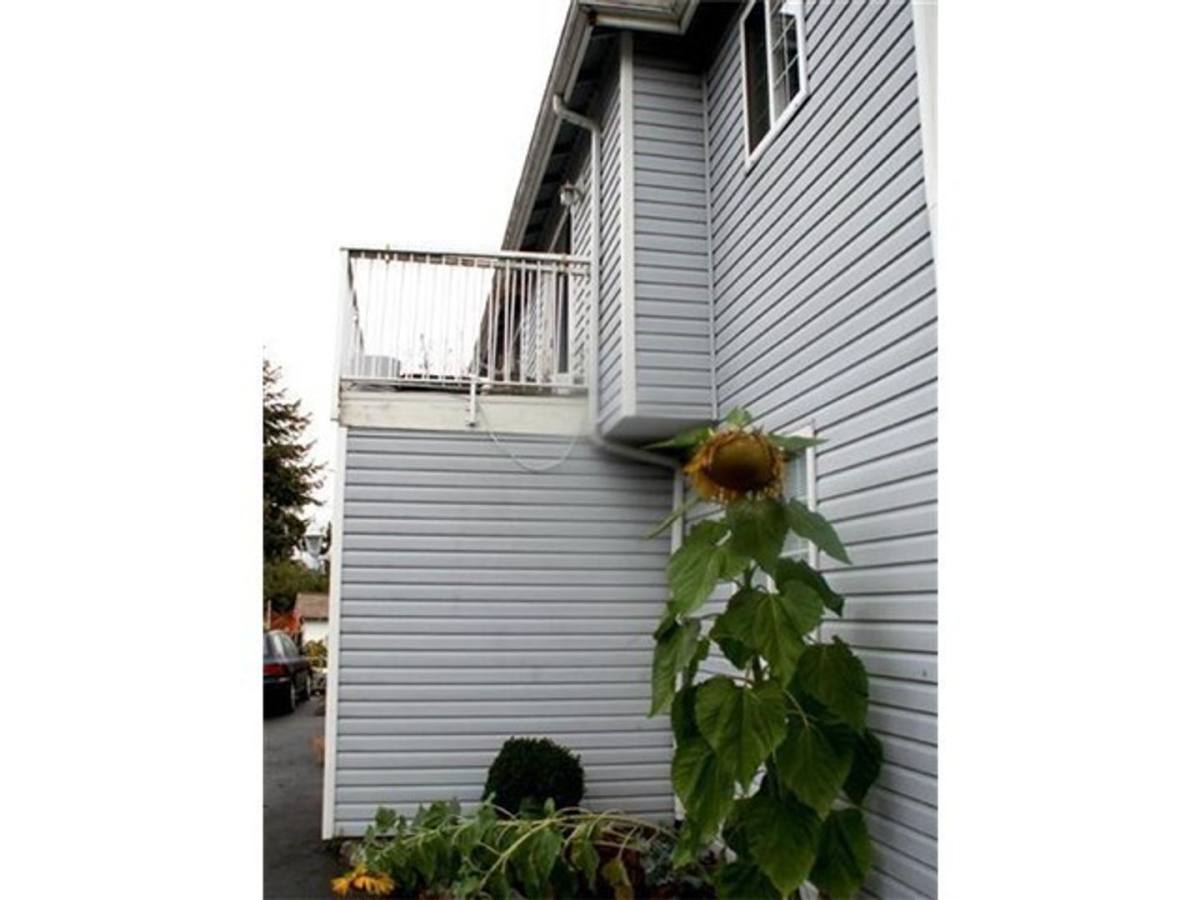 Apartment for rent at 1121 Humboldt St, Bellingham, WA 98225