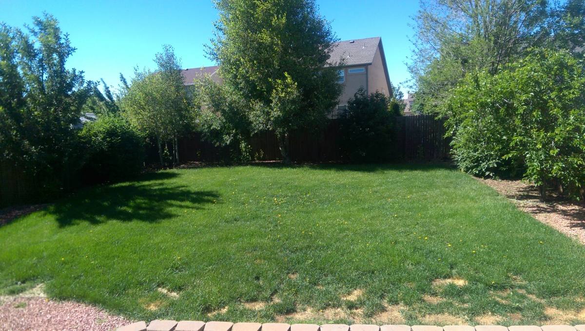 House for rent at 5907 Brennan Ave, Colorado Springs, CO 80923