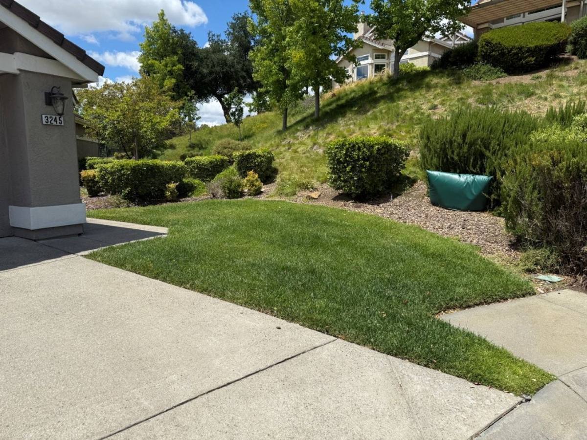 House for rent at 3245 Corte Granada, Fairfield, CA 94534
