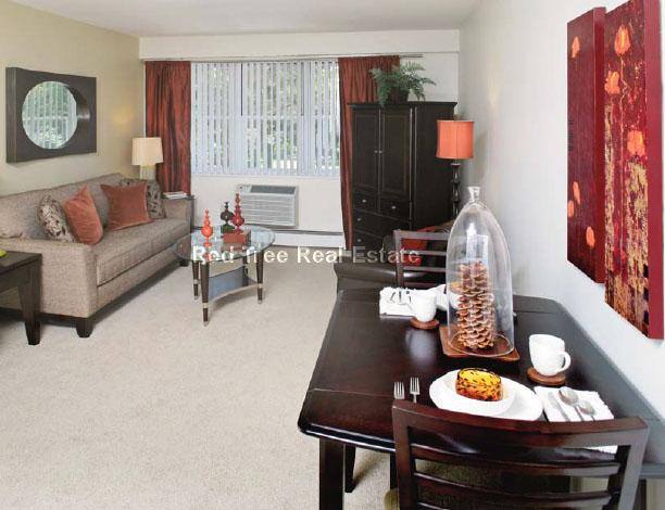 Apartment for rent at 185 Freeman St #643, Brookline, MA 02446