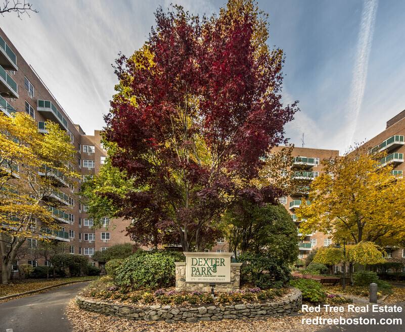 Apartment for rent at 185 Freeman St #643, Brookline, MA 02446