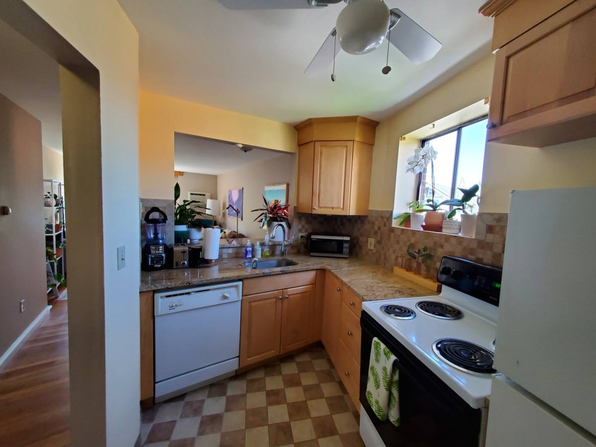 Apartment for rent at 34 Babcock St #403, Brookline, MA 02446