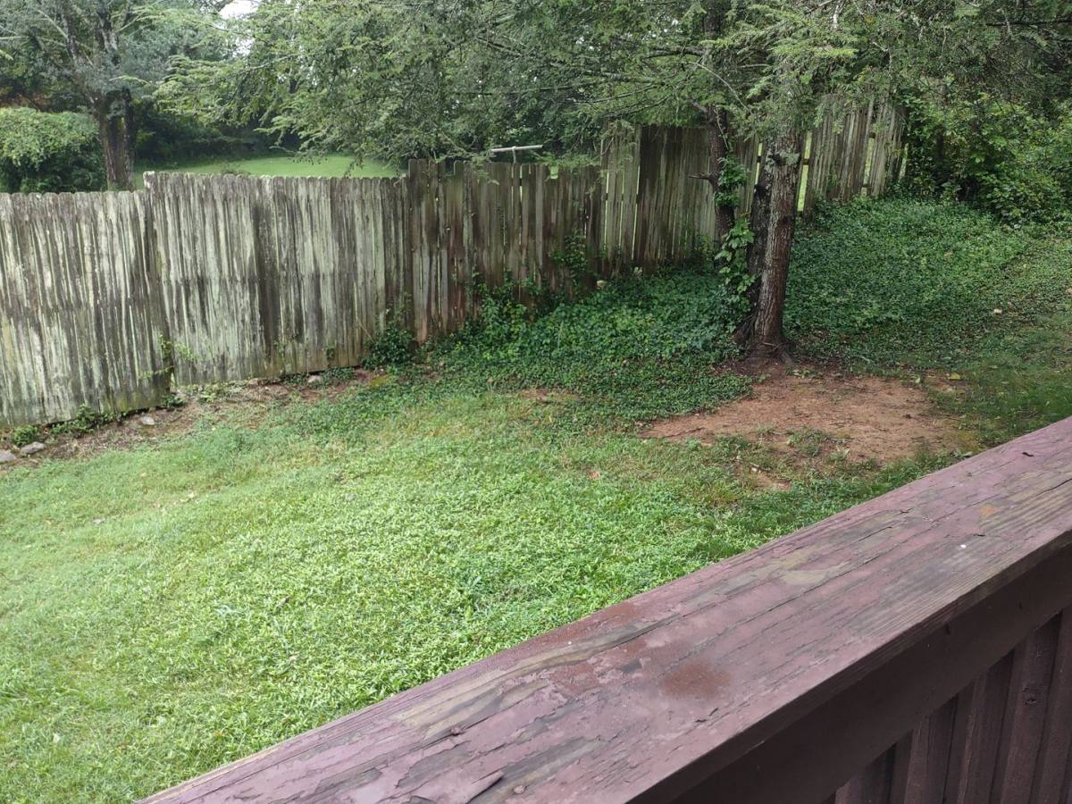 Apartment for rent at 1433 E Shipley Ferry Rd, Kingsport, TN 37663